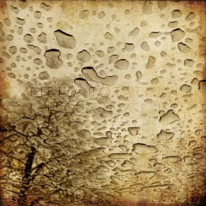 Regenzeit (10") by Field Rotation