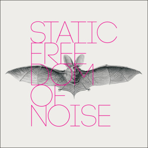 Freedom of Noise by Static