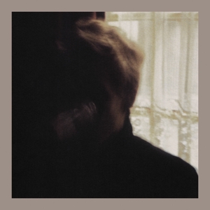 Days In the Wake by Palace Brothers