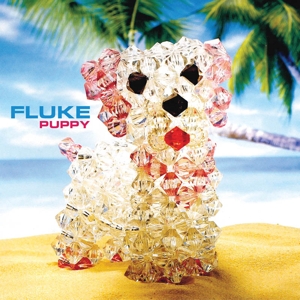 Puppy by Fluke
