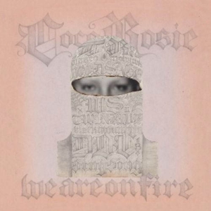 We Are On Fire/Tears For Animals by Cocorosie