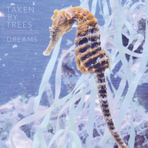 Dreams by Taken By Trees