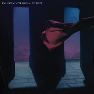 Dreamless Sleep by Caminiti, Evan