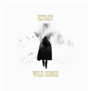Wild Songs by Estasy