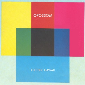 Electric Hawaii by Opossom