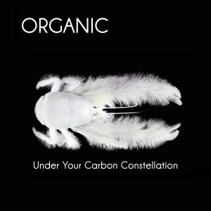 Under Your Carbon Constellation -180gr- by Organic