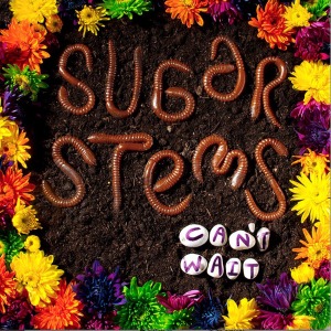 Can't Wait by Sugar Stems