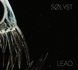 Lead by Solyst