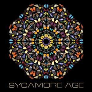 Sycamore Age by Sycamore Age
