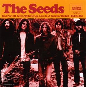 Bad Part of Town by Seeds
