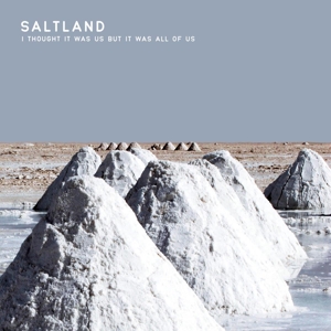I Thought It Was Us But It Was by Saltland