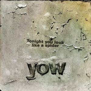 Tonight You Look Like a Spider by Yow, David