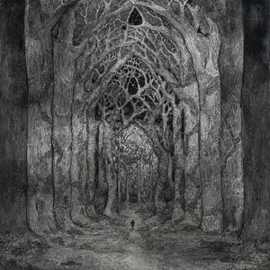 Within the Darkness Between the Starlight -180gr- by Nhor
