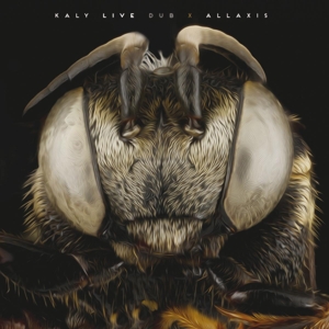 Allaxis by Kaly Live Dub