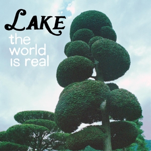 World is Real by Lake