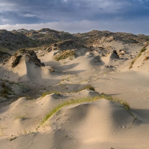 Dune Worship by White Manna