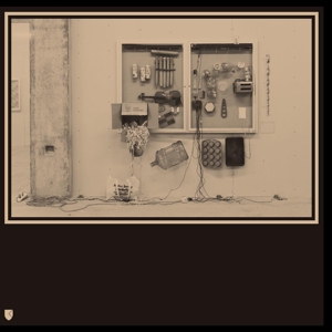 Fits & Starts by Tieghem, David Van -X ...