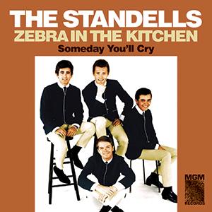 Zebra In the Kitchen by Standells