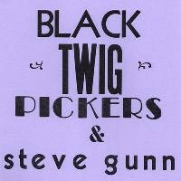 Lonesome Valley by Black Twig Pickers