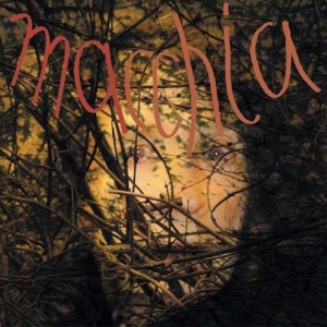 Macchia Forest by Fuchs, Limpe