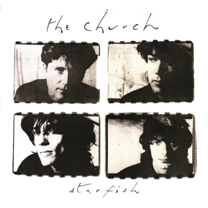 Starfish by Church, the