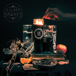 Year of the Snake by Silver Snakes