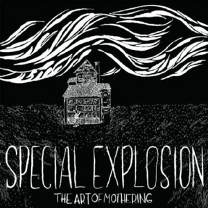 Art of Mothering by Special Explosion