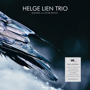 Badgers & Other Beings by Lien, Helge -Trio-