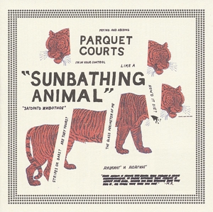Sunbathing Animal by Parquet Courts