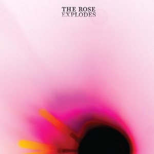 Rose Explodes by Dream Boat