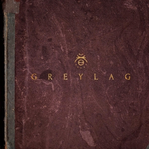 Greylag by Greylag