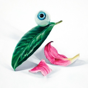 Petals Have Fallen by Dels