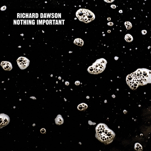 Nothing Important by Dawson, Richard
