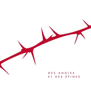 Des Angles Et Des Epines by Cabadzi