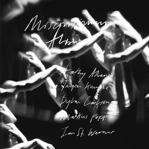 Miscontinuum Album by St. Werner, Jan