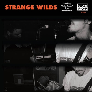 Standing by Strange Wilds