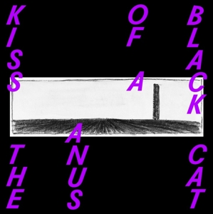 If the Sky Falls, We Shall Catch Larks by Kiss the Anus of a Bla...