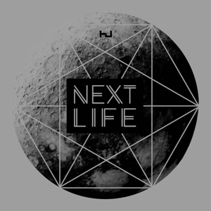 Next Life by V/A