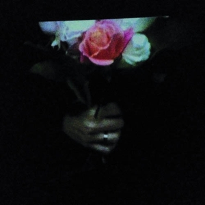 Aeonflower by Paper Dollhouse
