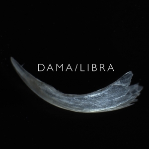 Claw by Dama