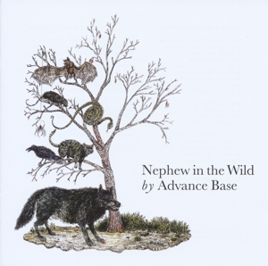 Nephew In the Wild by Advance Base