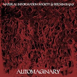 Automaginary by Natural Information So...
