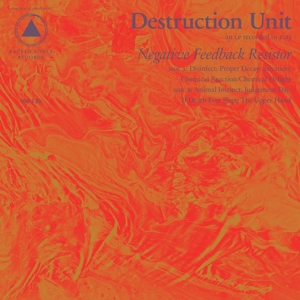 Negative Feedback by Destruction Unit