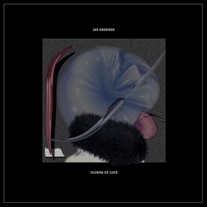 Flower of Love by Drennan, Ian
