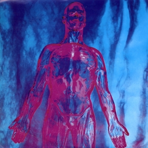 7-Sliver by Nirvana