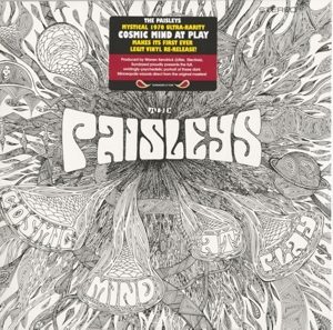 Cosmic Mind At Play by Paisleys