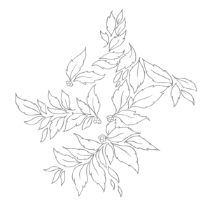 Momenta Quintae Essentiae by Nhor