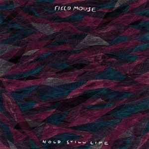 Hold Still Life by Field Mouse