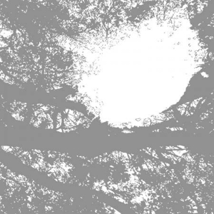 Field Recordings From the by Comets On Fire