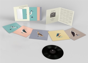 Avocet (Art Print Edition) by Jansch, Bert